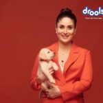 Kareena Kapoor Instagram - It's never a 'ruff' day when all these cute little furry friends are around 🥰🤎 @droolsindia prides itself in being self-reliant with its entire range of products being manufactured by their in-house production facilities that in turn provides employment to several families. So support 'make in India' and always feed local and be vocal. #GoLocal #DroolsIndia #SupportLocalBusiness #MadeInIndia #PetFood #Pets