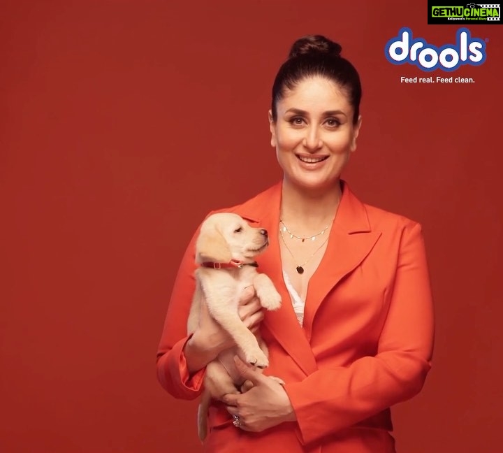 Kareena Kapoor Instagram - It's never a 'ruff' day when all these cute little furry friends are around 🥰🤎 @droolsindia prides itself in being self-reliant with its entire range of products being manufactured by their in-house production facilities that in turn provides employment to several families. So support 'make in India' and always feed local and be vocal. #GoLocal #DroolsIndia #SupportLocalBusiness #MadeInIndia #PetFood #Pets