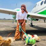 Kashish Singh Instagram - When everything seems to be going against you, remember that the airplane takes off against the wind, not with it. 🤝#privateplanes #dogsofinstagram #traveller #flyprivate #charter #pilot #yolo #20april2022 #adatetoremember #bellavitakashish 🧚🏻‍♀️🧚🏻‍♀️ Mumbai International Airport
