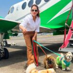 Kashish Singh Instagram - When everything seems to be going against you, remember that the airplane takes off against the wind, not with it. 🤝#privateplanes #dogsofinstagram #traveller #flyprivate #charter #pilot #yolo #20april2022 #adatetoremember #bellavitakashish 🧚🏻‍♀️🧚🏻‍♀️ Mumbai International Airport
