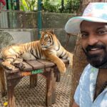 Ma Ka Pa Anand Instagram – Tiger park @blessingtourschennai @larkholidays_thailand