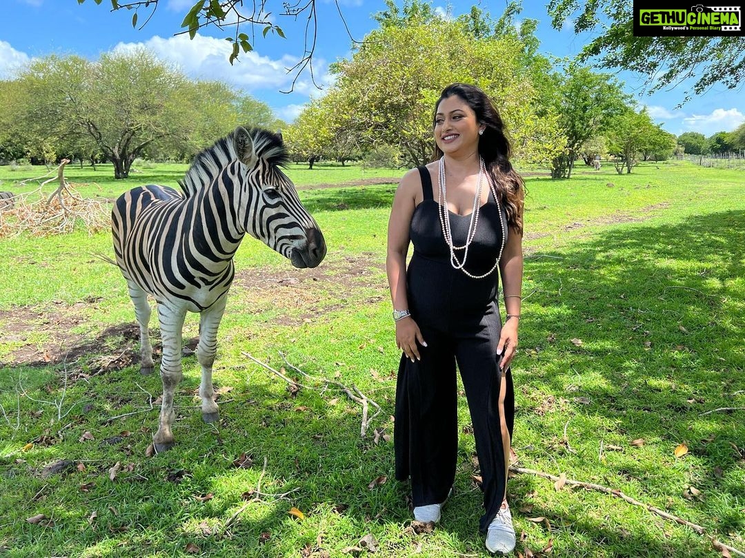 Malavika Instagram - Take a walk on the wild side🦓 #shootdiaries #tamilgolmaal #actressmalavika makeup by @maqboolpatel76 costumes by @suma.rana23 Casela