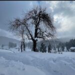 Mouni Roy Instagram - Craving some ❄️ #takemeback Gulmarg, Kashmir