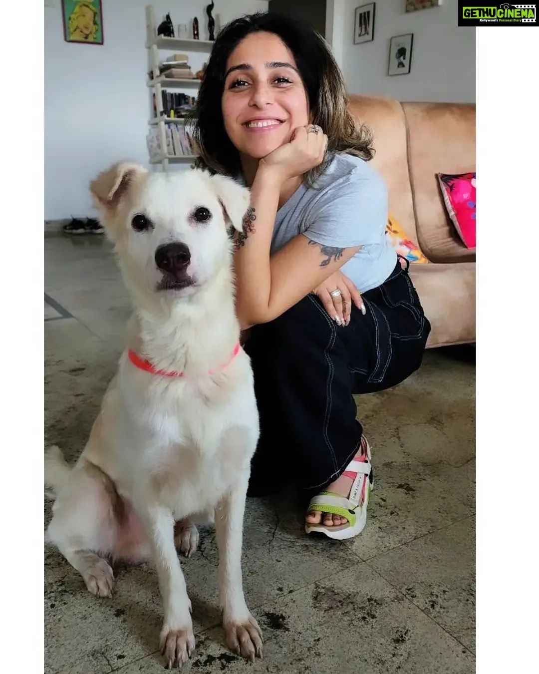 Neha Bhasin Instagram - Meet Whitey, the sweetest, naughtiest most lovable baby ever. My kind friend @preeti_simoes rescued him from a near death experience on a night out with @rajivadatia. Preeti has the kindest heart and has rescued and fostered many animals and helped them find a home. Awaiting a beautiful home for this baby too. My sweetest husband @zookthespook along with @tanishklalla have been fostering him with love at our studio while bling has been kind enough to Co exist ❤️