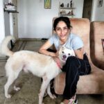 Neha Bhasin Instagram – Meet Whitey, the sweetest, naughtiest most lovable baby ever. My kind friend @preeti_simoes rescued him from a near death experience on a night out with @rajivadatia.
Preeti has the kindest heart and has rescued and fostered many animals and helped them find a home. Awaiting a beautiful home for this baby too.
My sweetest husband @zookthespook along with @tanishklalla have been fostering him with love at our studio while bling has been kind enough to Co exist ❤️