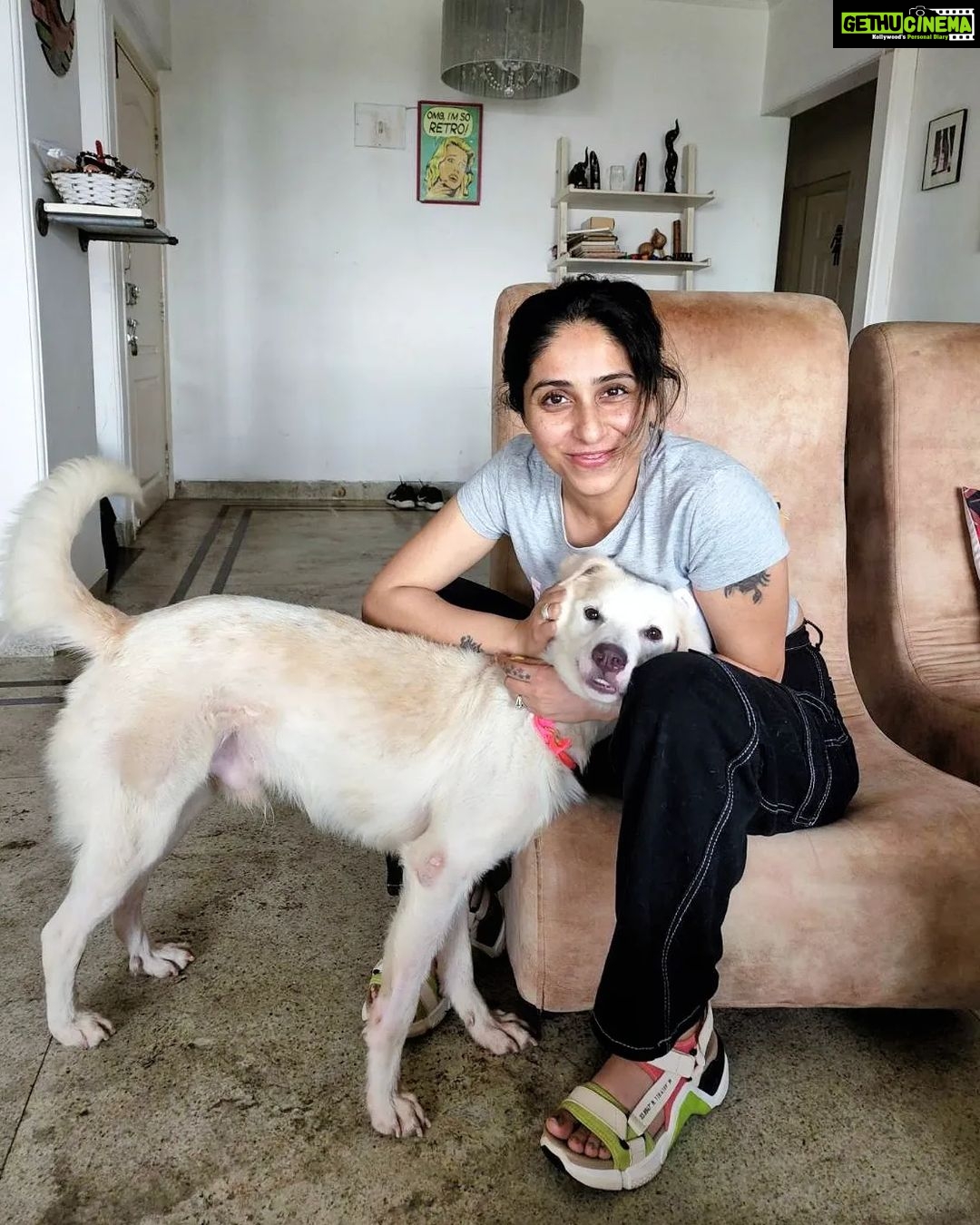 Neha Bhasin Instagram - Meet Whitey, the sweetest, naughtiest most lovable baby ever. My kind friend @preeti_simoes rescued him from a near death experience on a night out with @rajivadatia. Preeti has the kindest heart and has rescued and fostered many animals and helped them find a home. Awaiting a beautiful home for this baby too. My sweetest husband @zookthespook along with @tanishklalla have been fostering him with love at our studio while bling has been kind enough to Co exist ❤️