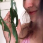 Panchi Bora Instagram - My morning conversation 🌱 #hobby #minimonstera