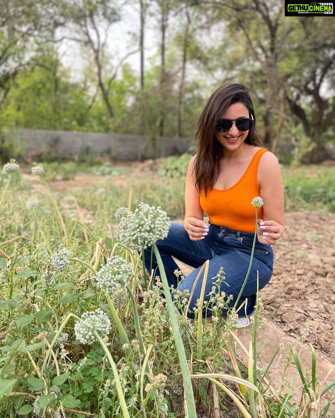 Parineeti Chopra - 701.7K Likes - Most Liked Instagram Photos