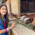 Payal Rohatgi Instagram - Request to all, please do vote and support a genuine person, She is same in her real life and show not like others. Vote for our honest, ethical, daring lioness. U can do vote thru sms & online on Altbalaji, Mxplayer She always speaks for right things. Please do support and share with others🙏🇮🇳 #teampayal #payalrohatgi #lockupp #shernipayal