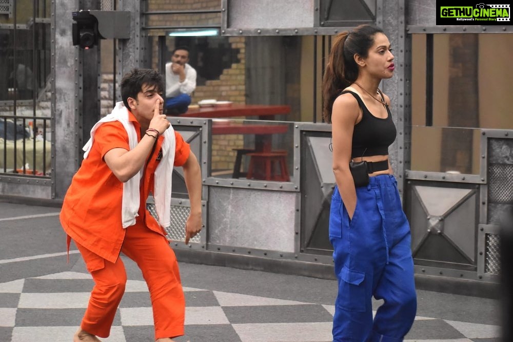 Payal Rohatgi Instagram - When you are in yourself and doing right things then Dogs bark behind, we should not care of anyone. Only focus should be on target. So friends please vote & support a geniune person Payal ji, who is fighting alone against all sheep🙏 #teampayal #payalrohatgi #lockupp #shernipayal
