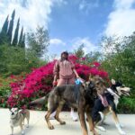 Priyanka Chopra Instagram - Soul Sunday with the girls.And pups 🥰 🐶 ✅❤️☀️ Los Angeles, California