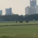 Rahul Bose Instagram – Oh hello. It’s been a while. #mahalaxmiracecourse #poloandpanorama