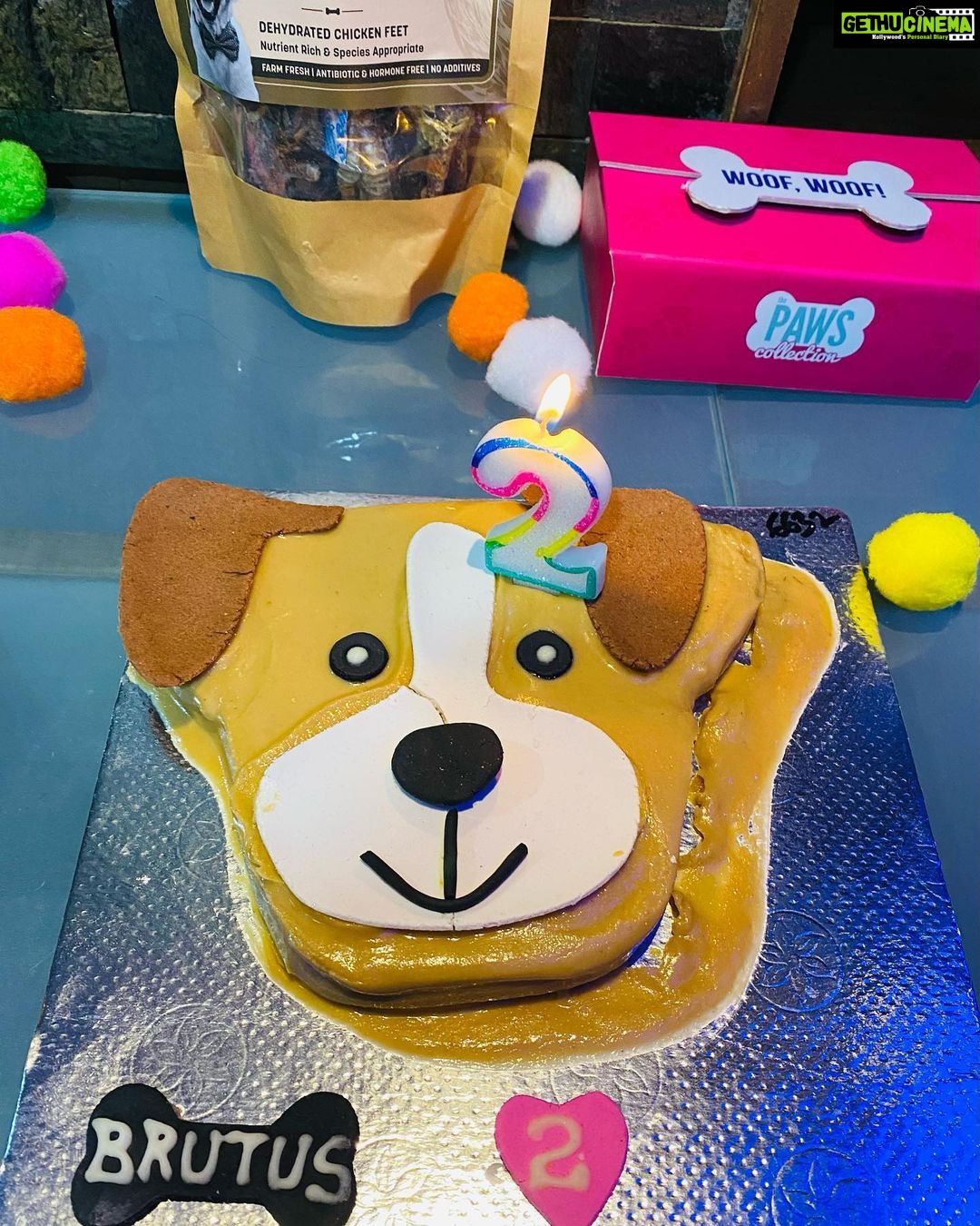 Raiza Wilson Instagram - Definitely better than my bday party 🎂🎉♥️