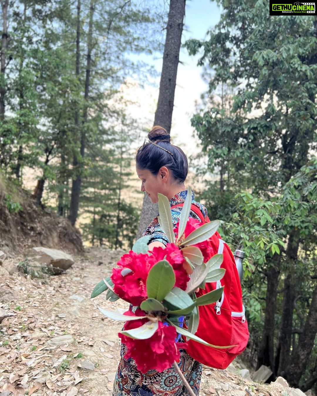 Rubina Dilaik Instagram - Pahad - pyaar - pariwaar …..