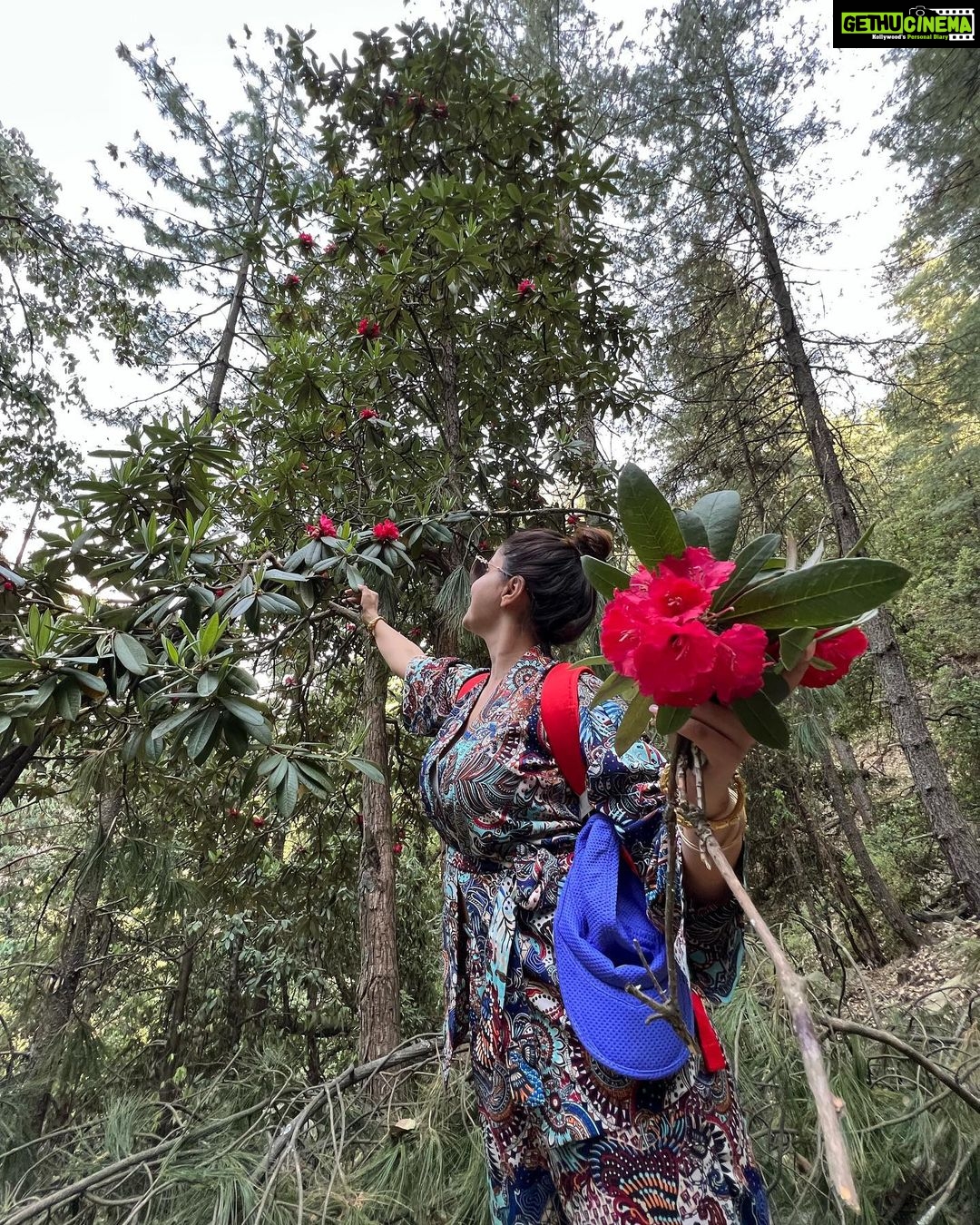 Rubina Dilaik Instagram - Pahad - pyaar - pariwaar …..