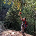 Rubina Dilaik Instagram - Pahad - pyaar - pariwaar …..