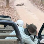 Sadha Instagram - One of the Dotty’s cub who loves to roam alone away from the family. The cutest roadblock ever ❤️ . . . #jungleetraveller #bandhavgarh #reels #reel #reelitfeelit #reelsvideo #wildlifephotography