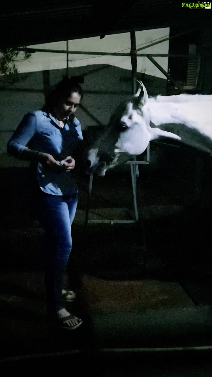 Sanusha Instagram - Some good old golden moments with Diana β€οΈππ #ashokanithumvashamund #justdoit #whatyouseeiswhatyouget #throwback #love #happy #reels #horsesofinstagram #horse #horseriding #horses #horselover #instagood #instagram