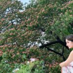 Sayyeshaa Saigal Instagram - Slow down and enjoy the simple pleasures of life! Sitting with my chai and admiring this beautiful tree on my terrace at home is one of my most favourite and relaxing moments in an otherwise hectic day! 😍🌺🌸 #nature#breathe#gratitude#simplethingsmakemehappy