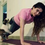 Sherin Instagram - This fellow never let's me work out! Finally got it on camera 😄 #sherin #shiatsu #dogsofinstagram