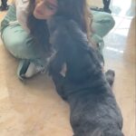 Shraddha Kapoor Instagram - Let’s wish Shyloh 🎂🥳💃🏻 Happy Birthday my babu 😍 Thank you for the best 11 years of my life 🤗😘❤️