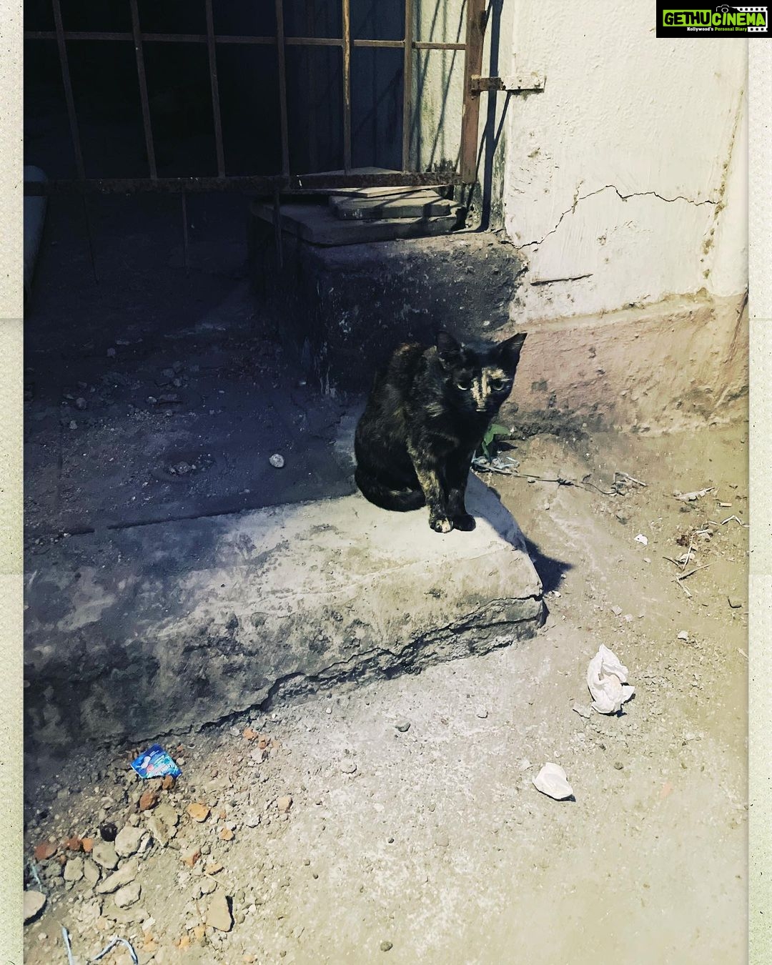Shruti Haasan Instagram - The by lanes of Bandra 🖤
