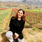 Shruti Sodhi Instagram – Tulip garden 🌷 #shrutisodhi #tulipgarden #kashmir #srinagar Tulip Garden, Nishat Srinagar