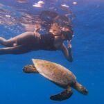 Sonakshi Sinha Instagram – Saved the best for the last (i promise last one… u know my underwater excitement levels match nothing else)… i mean how often does a frickin turtle decide to come swim right next to you?!? Huh?!? Huh?!? 

#reelitfeelit #reelkarofeelkaro #mermaid