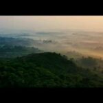 Sshivada Instagram - "There can be no life without soil and no soil without life, they have evolved together" As humans, its our responsibility to preserve and conserve our soil for our future generations.Let us all come together and join Sadhguru's @sadhguru global movement to #savesoil. Let this be the sound of humanity in the coming years. Let us make it happen. #savesoil #savesoilmovement #consciousplanet #actionnow #letusmakeithappen #sadhguru #earthbuddy #soil #soilheath #journeyforsoil #heathysoil #reels #reelsinstagram