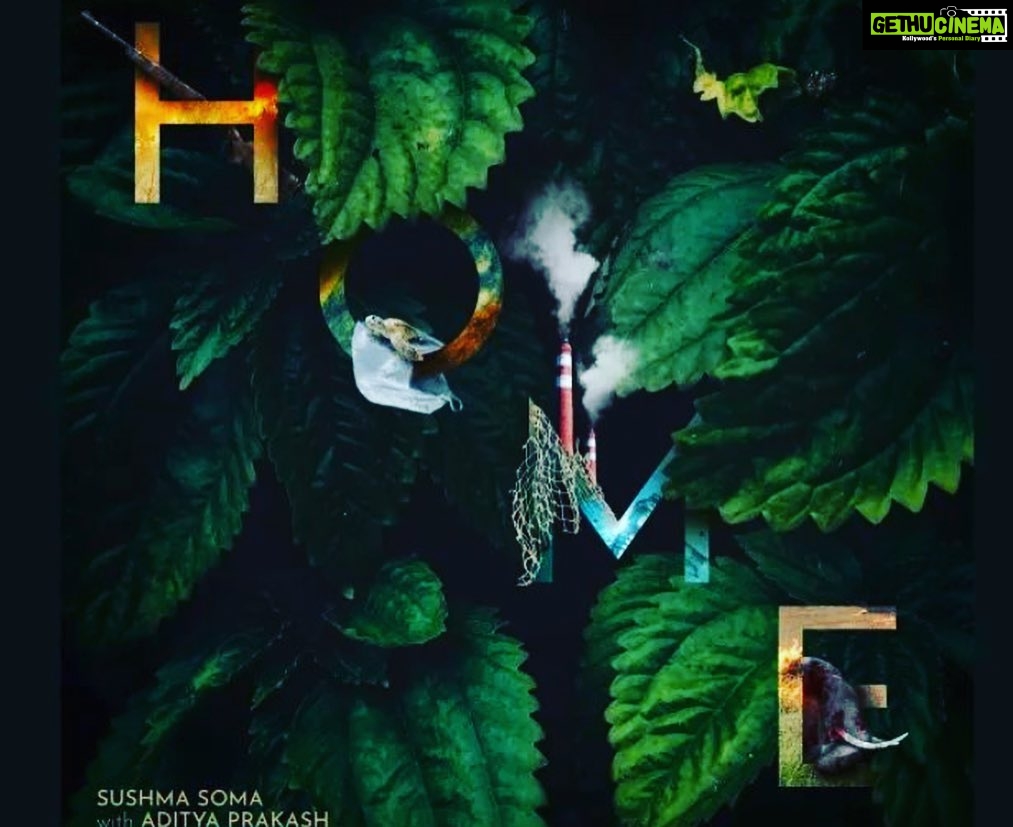 Sunder Ramu Instagram - This is the third live session of Sushma’s that I have attended. Walking into the intimate space (backyard Gandhinagar) with Sushma and Aditya literally blending with the audience, I wasn’t sure what to expect and sometimes that’s the best way to approach a performance (or in this case more of a sharing) Our phones were put on the silent mode and packed neatly into tagged pouches at the entrance. Just as well. The only thing that should be allowed to break that silence was Sushma’s soul wrenching and soothing voice to the arrangement of some incredible indigenous music. The songs were tribal, raw and refined all at the same time. Voices fighting for space with overwhelming everyday noise, cries for sanity among primal war cries, a funeral pyre of burning forests consuming innocent, helpless animals and trees, greed and ignorance trying to drown out voice of reason. The music was like a slap across my face (unlike the one Chris rock felt on Oscar night). It was soulful, calming and gut wrenching all at once. My smiles and urge to breakdown in tears were intermingling like shadows and light falling through canopies of trees in an untouched forest. The visuals that my brain was being bombarded with, just listening with my eyes wide shut, was as lulling as it was disturbing. The last song, sung live was like a balm to fresh wounds left by the previous songs. I left the space with a calm chest, a churned gut and a mind alive to the need of stepping up the efforts to save what’s left of our earth. I’m so glad their art disturbs, awakens and soothes at the same time. I’ve always enjoyed @dancerukmini ‘s dance and TM Krishna’s voice, without intellectualism.I don’t try too hard and I just let them affect me at the level that they do.Sushma’s voice helped me though the pandemic lockdowns with her ‘Mollika’ from her previous album keeping me company during some tough times, but Home is more of a wake up call,with her voice moving you and adding to the desperate voices that have been begging us to look at the urgent need to fix our planet. P.S.none of these images were created by me. @sushmasaurus @adityaprakashmusic #homebysush