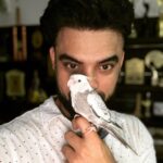 Tovino Thomas Instagram – Happy Easter 🐣

 #nikothecockatiel 
#happyeaster #whitefacedcockateil #cockateilsofinstagram