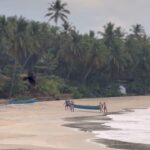 Tovino Thomas Instagram - A walk to remember !! #morningwalk #lifearoundus Thottada Beach