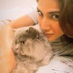 Vaani Kapoor Instagram - It was love at first sight 😻 love for a lifetime! #petday #catsagram #purrfect relationship ❤️