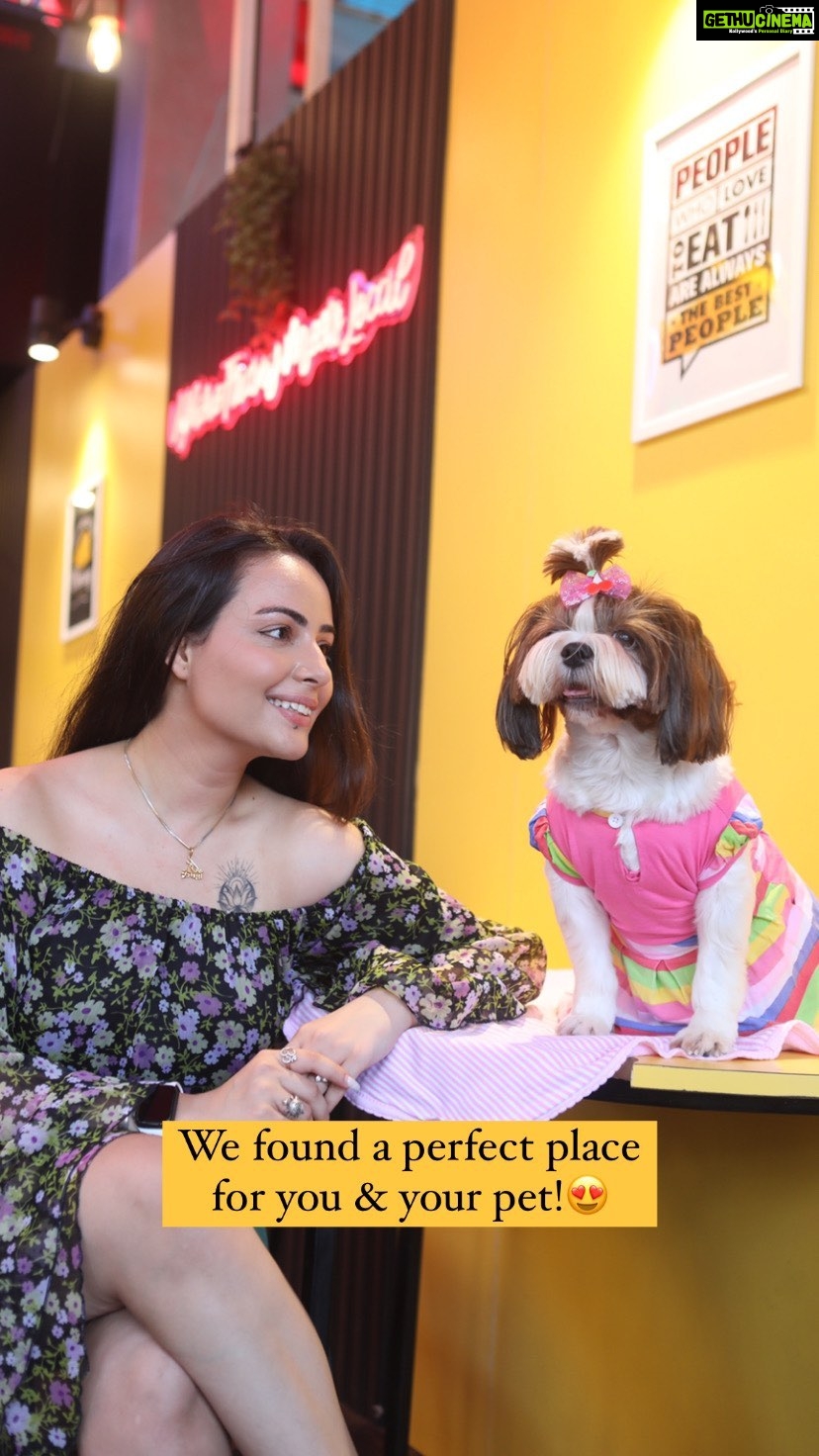 Aanchal Munjal Instagram - @cheesebuddymast reminds us of a legendary song, but now you'll also remember it as the newly opened snack joint in town that is all about cheese! Whether you have a pet or not, this place is a must visit. π @things2doinmumbai community gets a 10% discount on a order of 499/- π€© Loved it? Save and Share it with your friends! #Things2doinMumbai #Mumbaikar #Mumbai #MumbaiFood #Foodie #Cheese #CheeseLovers