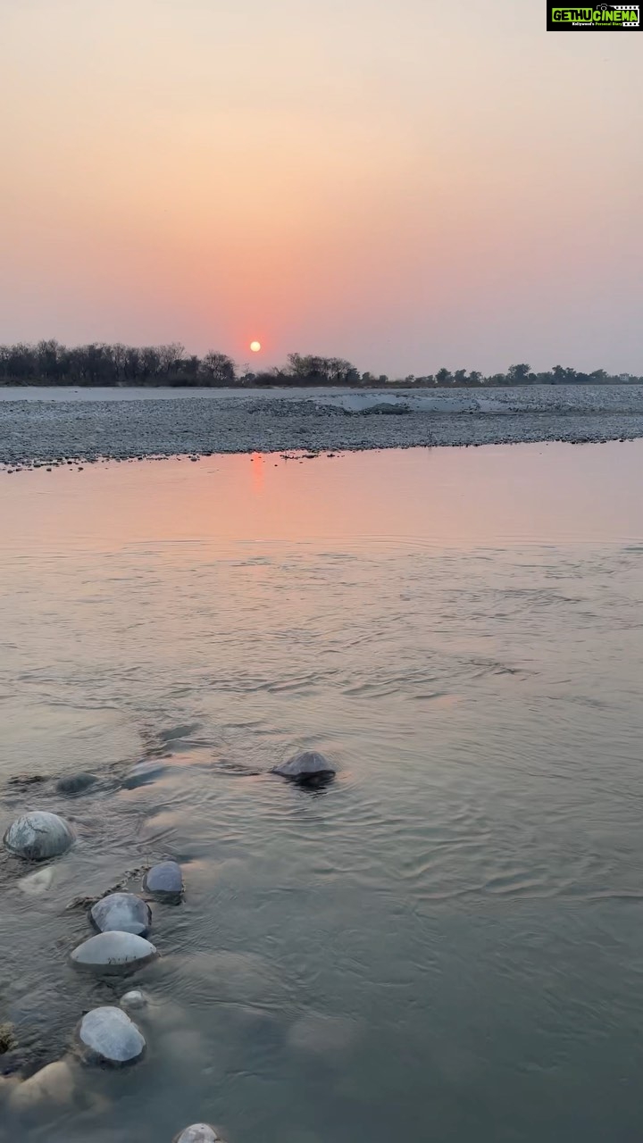 Aditi Chengappa - 274 Likes - Blessings…
.
.
.
#haridwar #ganga #gangariver #peace #relax #relaxing #reels