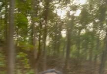 Anasuya Bharadwaj Instagram - Jumanji feels!! 🌳🌴 #EnjoyEnjami ✌🏻🧿