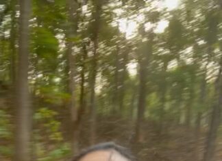 Anasuya Bharadwaj Instagram - Jumanji feels!! 🌳🌴 #EnjoyEnjami ✌🏻🧿