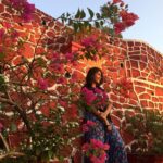 Archana Jois Instagram – Sunshine

@anu_janardhan Bhayndar, Maharashtra, India