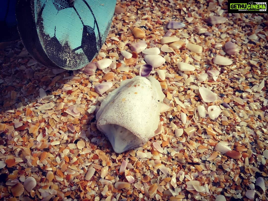 Archana Jois Instagram - Yesterday's companions ❤️ #day1 #goa #goadiaries #coupletravel #benaulim #crab #starfish #ganda