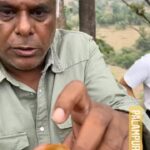 Ashish Vidyarthi Instagram – Palampur Golgappay…