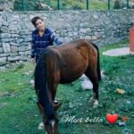 Devshi Khandur Instagram - Meet Bella ❤🐎and Tinku ❤🐎 #devshikhanduri #actor #horselover #horse #babyhorse #horselove #horses #pony #horsevideo #love #sonamarg #kashmir #unconditionallove #woodencottage #mountains #pet #love #animallove #animallover #animalsofinstagram #traveladdict #travel #fun Sonamarg Valley