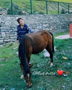Devshi Khandur Instagram - Meet Bella ❤🐎and Tinku ❤🐎

#devshikhanduri #actor #horselover #horse #babyhorse #horselove #horses #pony #horsevideo #love #sonamarg #kashmir #unconditionallove #woodencottage #mountains #pet #love #animallove #animallover #animalsofinstagram #traveladdict #travel #fun