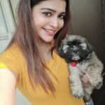 Dharsha Gupta Instagram - 💛💙Our new family member 'Lucky'💙💛 #shihtzu #puppy