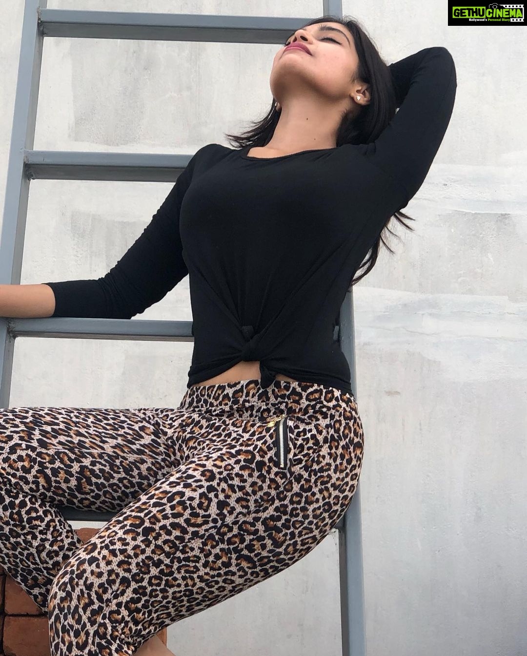 Dharsha Gupta Instagram - 🖤Positivity brings positive life🖤 🖤Liv Let Liv/LLL🖤 🖤Gudmrng🖤