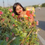 Dharsha Gupta Instagram - Dis pic was took a week bak 🥰🥰 I’m safe @ home oly ❤️❤️❤️ Jus nw i gotup GOODMORNING 🌞🌞🌞 . . . . . . . #nature #naturephotography #naturelovers #naturelover #flowers #flowerphotography #happy #happyme #fun #live #liveyourbestlife #life #lifeisgood #lifeisbeautiful #love #loveyourself