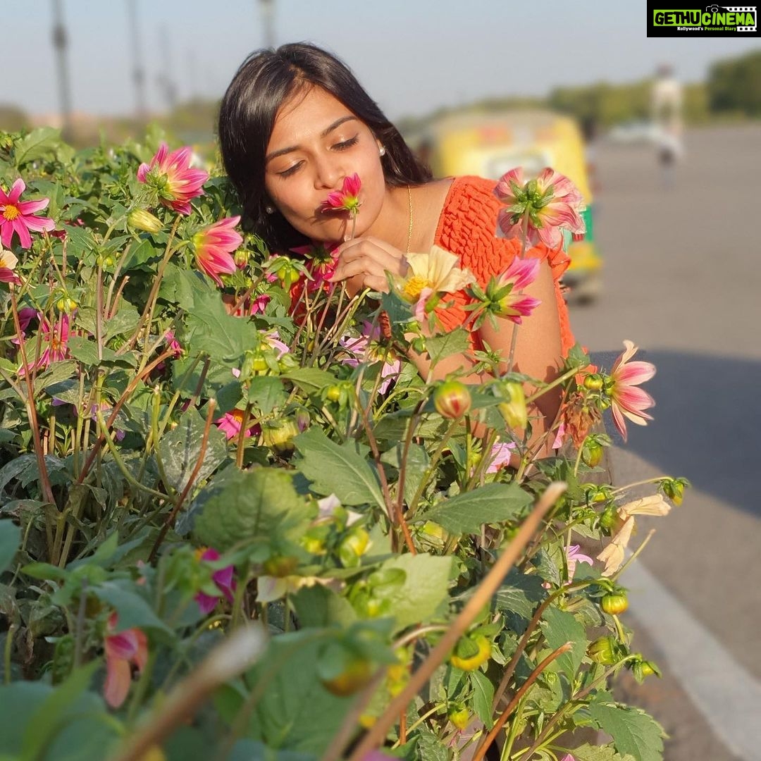 Dharsha Gupta Instagram - Dis pic was took a week bak 🥰🥰 I’m safe @ home oly ❤️❤️❤️ Jus nw i gotup GOODMORNING 🌞🌞🌞 . . . . . . . #nature #naturephotography #naturelovers #naturelover #flowers #flowerphotography #happy #happyme #fun #live #liveyourbestlife #life #lifeisgood #lifeisbeautiful #love #loveyourself