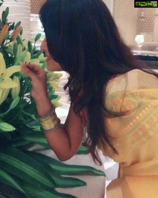 Dharsha Gupta Instagram - Manjal Nirame Manjal Nirame💛💛 . . . . . . . . #saree #sareelove #sareelovers #yellow #actor #model #positivevibes #loveyourself #live #love #life #tiktok #tiktoktamil #tamil