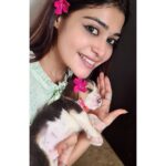 Dharsha Gupta Instagram – 💗Namma puthu family member, ‘JOY’
Yen flower vechu vitturukenu guess pannunga paapom??💗
#beagle