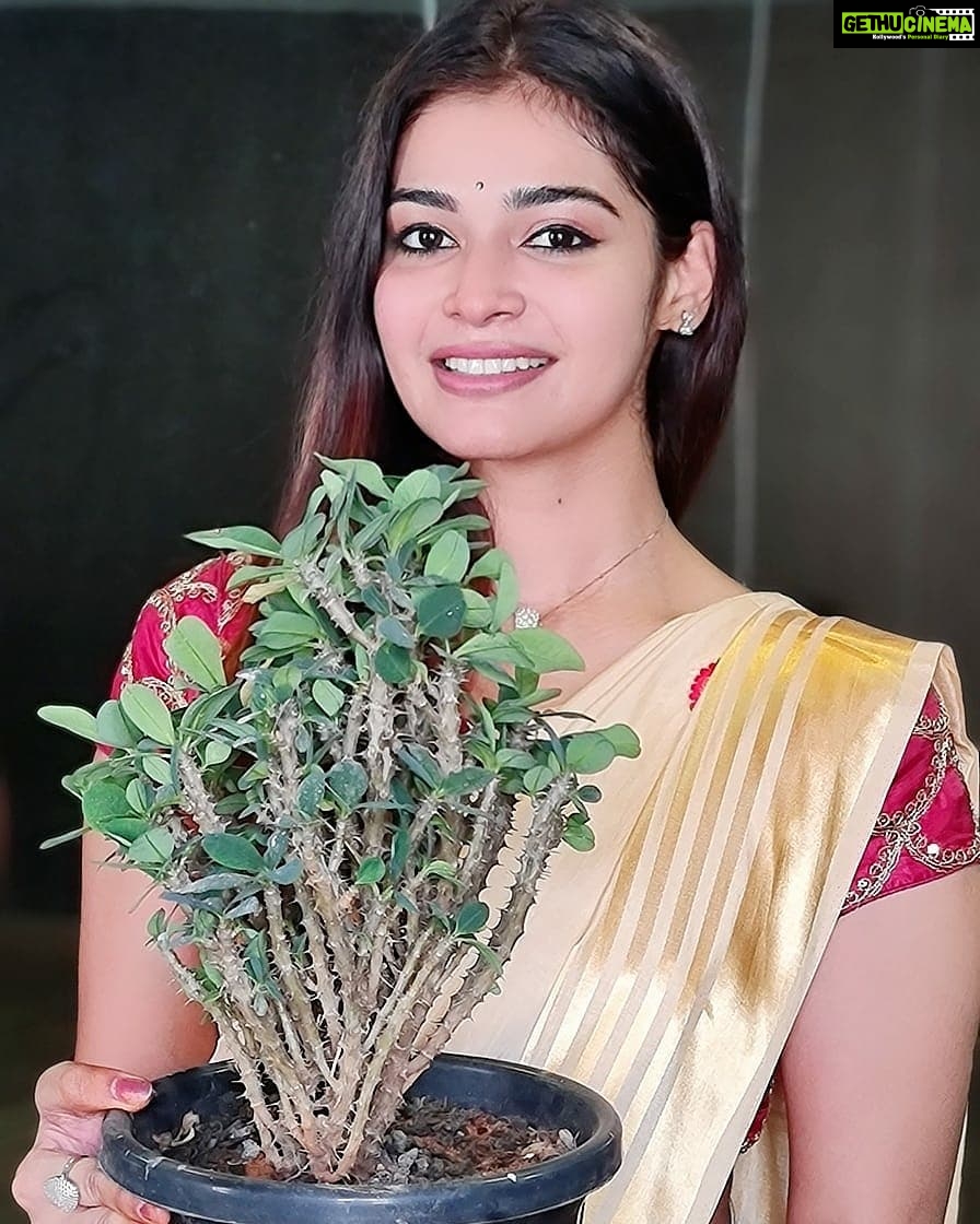 Dharsha Gupta Instagram - 🌱உலக சுற்றுச்சூழல் தினத்தை முன்னிட்டு இன்று முதல் நாம் அனைவரும் ஆளுக்கு ஒரு மரம் நட்டு அதை வளர்ப்போம்... என்னுடன் பசுமை இயக்கத்தில் @pasumai_iyakkam ஒன்றிணைந்து இந்த உலகை பசுமை உலகமாக மாற்றுவோம்🌱 🌱Advance World Environment Day🌱