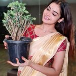 Dharsha Gupta Instagram - 🌱உலக சுற்றுச்சூழல் தினத்தை முன்னிட்டு இன்று முதல் நாம் அனைவரும் ஆளுக்கு ஒரு மரம் நட்டு அதை வளர்ப்போம்... என்னுடன் பசுமை இயக்கத்தில் @pasumai_iyakkam ஒன்றிணைந்து இந்த உலகை பசுமை உலகமாக மாற்றுவோம்🌱 🌱Advance World Environment Day🌱